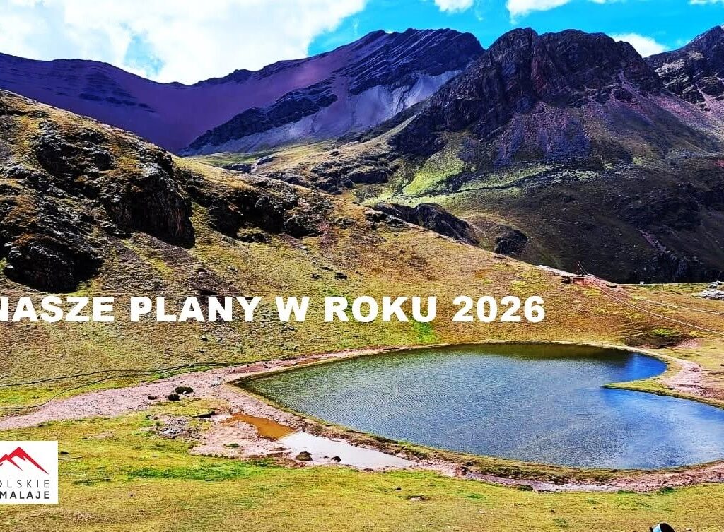 2026 (1)